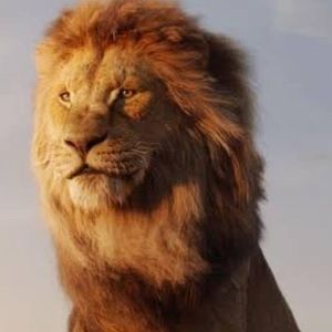 Meet your Posher, Zehra